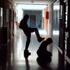 EL_POTRO