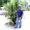 jh_solido